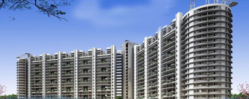 New policy gives realtors joint development rights