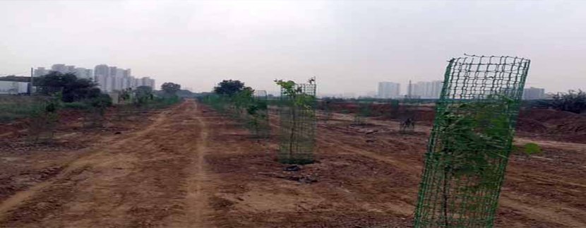 M3M Boost for Gurugram’s Green Cover