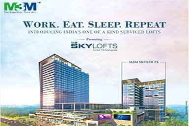 M3M SkyLofts