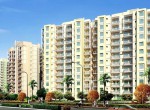 Orris Aster Court