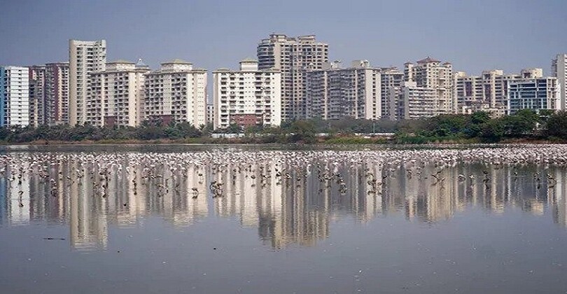 Real Estate To Get A Boost After Vaccine Permitted To All Above 18 Years: Experts