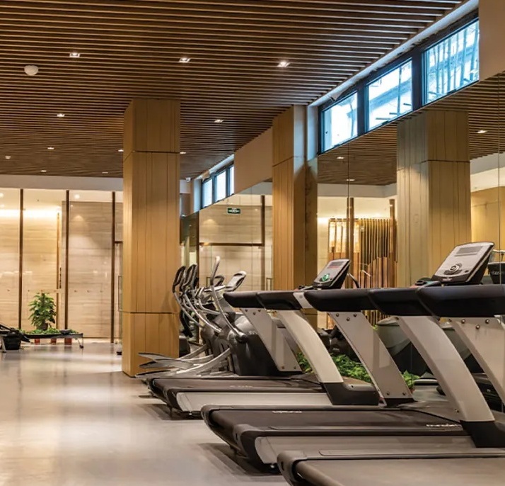 Jms-silver-living-sector-95-gurgaon-overview