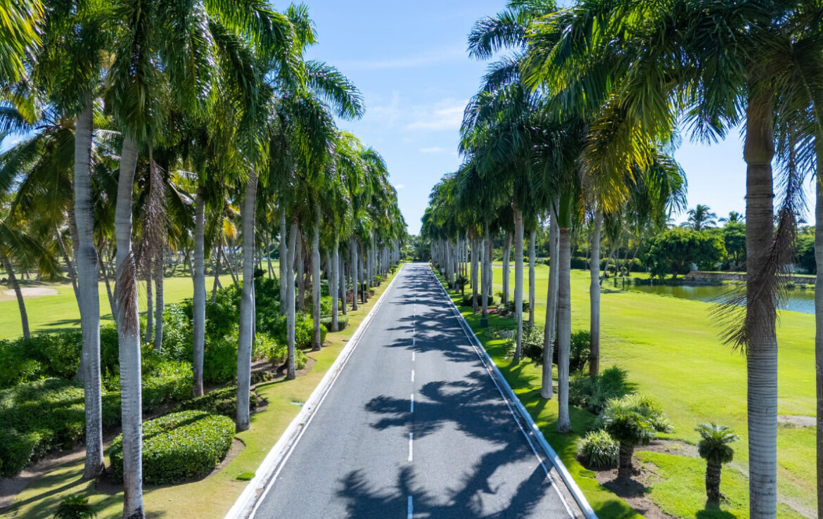 Godrej Alira Lush Green Palm Lined Boulevard