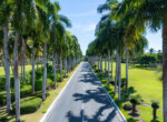 Godrej Alira Lush Green Palm Lined Boulevard