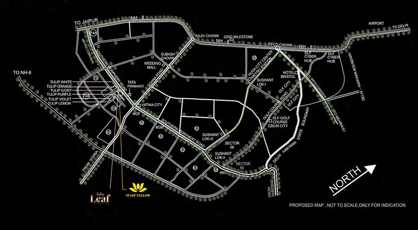 Tulip Yellow 2 Tulip Yellow Location Map